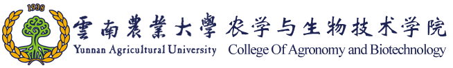 437437必赢国际网址